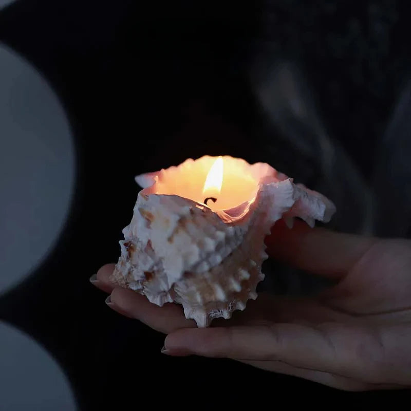 Conch Scented Candle (Handmade) - Home Decoration Ornaments For Bedroom & Living Room Tabletop Holiday Gifts